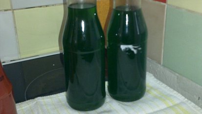 Mátový sirup - vařený, sterilovaný