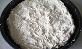 Petina Pizza