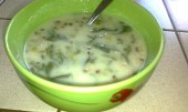 Salátová polévka (mňam :-))