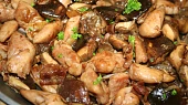 Tortilla se šťavnatým kuřecím masem a hříbky