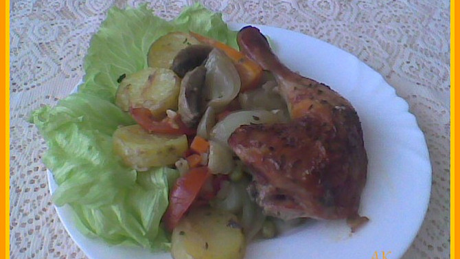 Tuniské kuře z jižních Čech