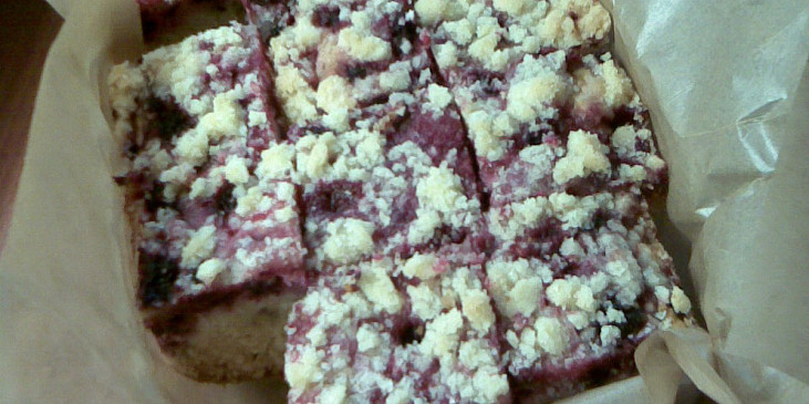 Borůvkový koláč s tvarohem