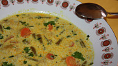 Fazolkovo-mrkvová polévka s karí, Fazolkovo - mrkvová polévka s kari