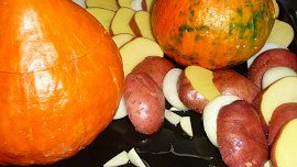 Hokkaidó v bramborovém hnízdě