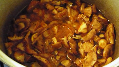 Houbová polévka