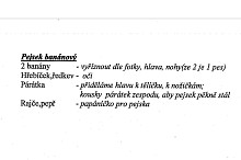 k č.9 - Pejsek