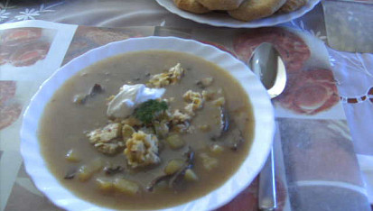 Kyselo