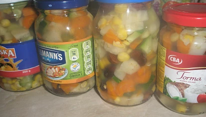 Moravanka "z Hané"