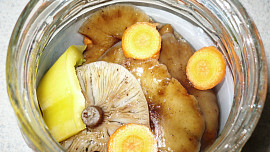 Nejchutnější houby v octě