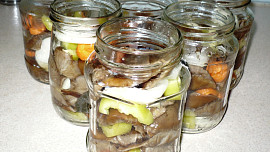 Nejchutnější houby v octě