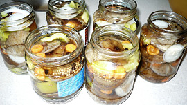 Nejchutnější houby v octě