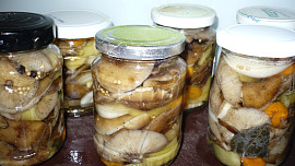 Nejchutnější houby v octě