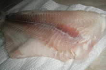 filet mal skoro 40 cm :-)