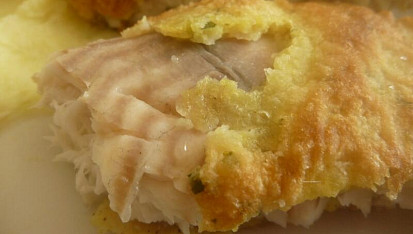 Pangasius v těstíčku, okounek zblízka....