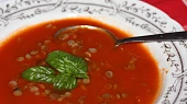 Rajská polévka s čočkou a bazalkou, Rajská polévka s čočkou a bazalkou