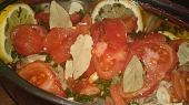 Cachochbilli