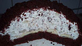 Domácí krtkův dort, Domácí krtkův dort mírně upravený recept