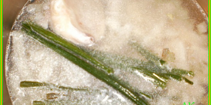 Dršťkovka s morkovou kostí a cibulkou. (stonky libečku a celeru pro hezkou vůni při vaření)