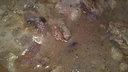 Jelení plec na víně, tymiánu, hříbkách a borůvkách