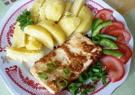 Tofu Rošťáci