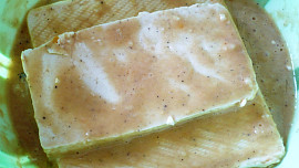 Tofu Rošťáci