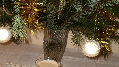 Domácí baileys bez Salka