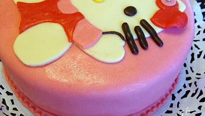 Dort Hello Kitty pro neteřinku, Z boku
