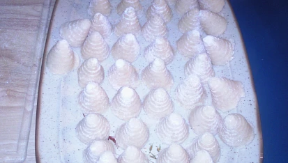 Kokosová vosí hnízda