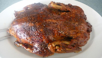 Pomalá kachna