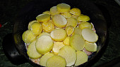 Zapečené maso s bramborami a šlehačkou, před pečením