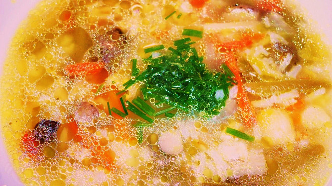 Zeleninovo- rýžová polévka v drůbežím vývaru, Zelenino-rýžová polévka v drůbežím vývaru