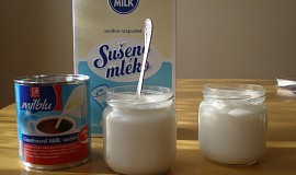 Domácí jogurt - hustý