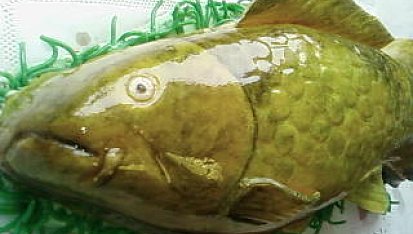 Dorty - zdobení, Toto je výtvor mojí kamarádky Ivety