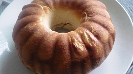 Kakaovo-kokosová kynutá bábovka