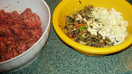 Barevna sekana z masa, hlivy ustricne a  ze zeleniny na polevku