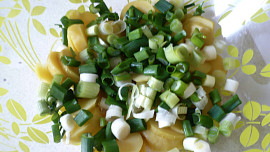 Bramborový salát s tuňákem