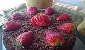 Čoko-malinový/jahodový dort (Valentynsky dort)