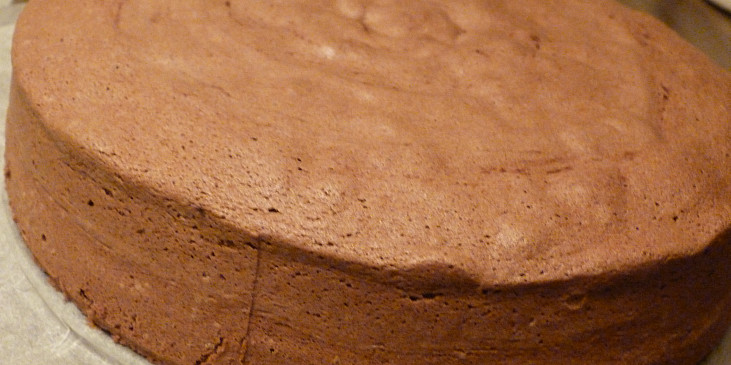 Kakaový olejový korpus na dort (hotový korpus - necháme chladnout)