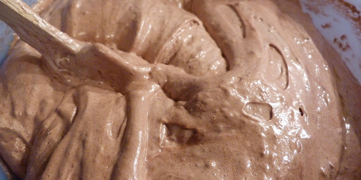 Kakaový olejový korpus na dort (těsto je promíchané, lehké, stále našlehané)