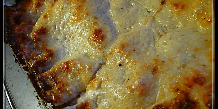 Lasagne z Vodňan