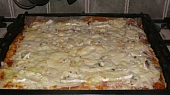 Pizza z domácí pekárny