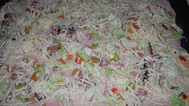 Rychlá pizza