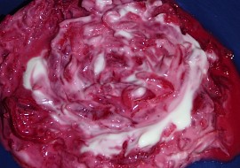 Salát z červené řepy s křenem a jogurtem