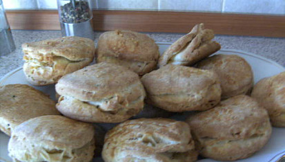 Škvarkovníky