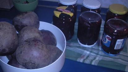 Červená řepa