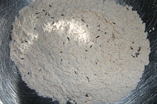 Kukuřičná moučka, sůl, kmín, kurkuma a červená sladká paprika.