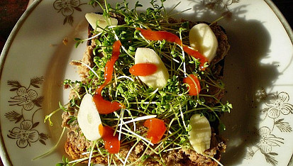 Kadlíkova kachní kalorickocholesterolová pomazánka
