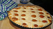 Křehký koláč s tvarohem a meruňkami