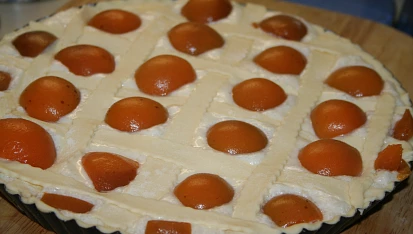 Křehký koláč s tvarohem a meruňkami