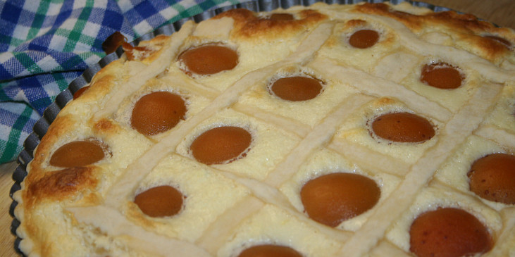 Křehký koláč s tvarohem a meruňkami